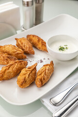 grilled dumplings on a white plate
