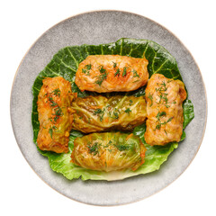 Golubtsi or golabki on gray plate isolated on white. Stuffed cabbage rolls dish of russian, polish, ukrainian cuisine. European food.
