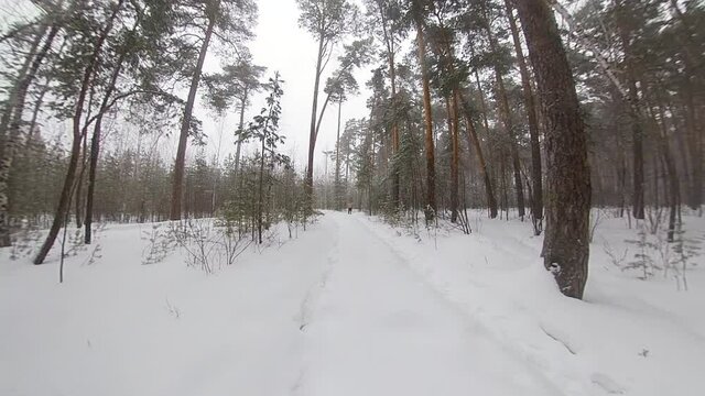 Running in the winter forest. Slow motion 2x. A man without outerwear runs through the snowdrifts. 
It hardens the body and increases endurance when exercising in tough conditions. Wide shot. Pan.