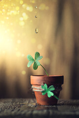 Water is life