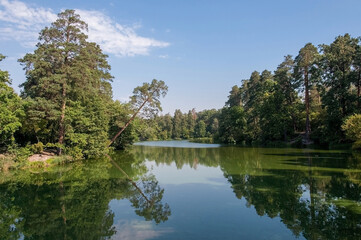 Fototapeta na wymiar Natural lake with forest in the background in the summer sunny day..Beautiful view on the forest lake. Nature landscape. Reflection of forest in lake.