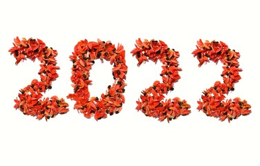 2022 Written with Butea Monosperma or Bastard Teak Flowers on White Background, Happy New Year 2022 Conceptual Photo, Perfect for Wallpaper
