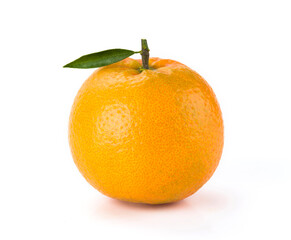 The oranges isolated on white background