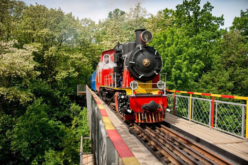 Fototapeta premium Vintage steam powered railway train. Retro steam locomotive passes through the bridge. Railroad travel, railway tourism. Colored children's train.