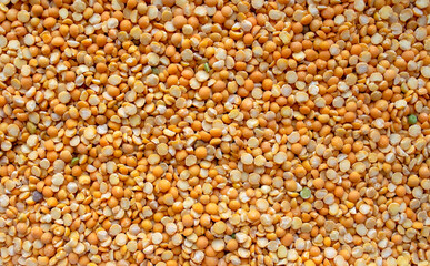 Dry Split Yellow Peas Background. Yellow dried peas background. Top view. Food background. Peas grains texture