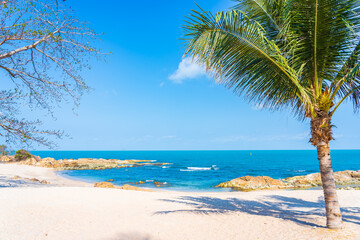 Beautiful tropical beach sea ocean with coconut palm tree