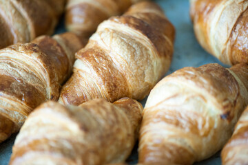 Freshly baked croissants on a plate with different fillings.