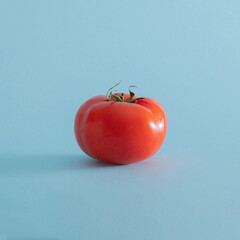 fresh red tomato with green leaves on blue pastel background. Minimal creative idea.