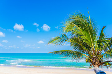 Obraz na płótnie Canvas Beautiful tropical beach sea ocean with coconut palm tree