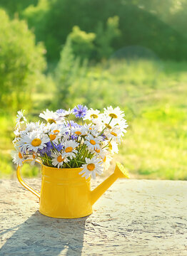 Fototapeta meadow flowers bouquet in yellow watering can, sunny day. rustic garden still life. summer blossom season. copy space
