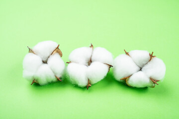 Cotton bolls on green background