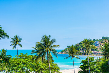 Beautiful tropical beach sea ocean with coconut palm tree