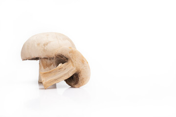 Fototapeta premium Ripe mushroom on white background