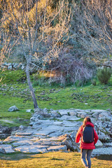 Vertical image of a woman in a red coat and black rucksack in a spring flowering forest at sunset with a river and a stone bridge.