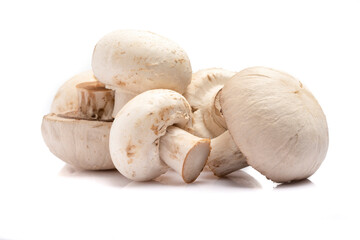 Ripe mushroom on white background