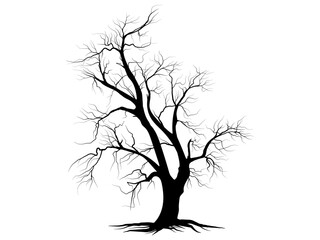 Black branch tree silhouette isolated set on white background, Hand drawn vector.