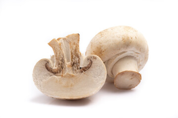 Ripe mushroom on white background