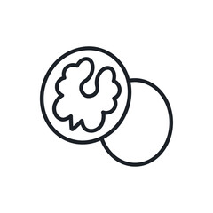 Walnut icon. Vector linear icon, contour, shape, outline isolated on a white background. Thin line. Modern design. Healthy food and vitamins