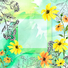 Fototapeta na wymiar Watercolor card, postcard fromgreen, green, white abstract spot. plant immortelle, tansy, wild herbs. Calendula flower, chamomile, daisy. Splash, bright streaks of paint. Vintage postcard