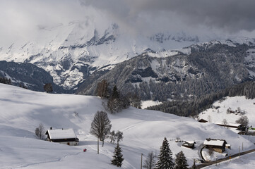 Paysages alpins enneigés