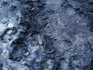 Footprint or imprint shoe in the mud. Numerous different footprints of people boots in wet dirt on ground road.