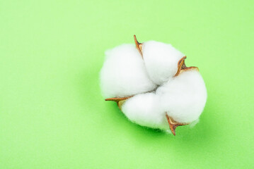 Cotton bolls on green background