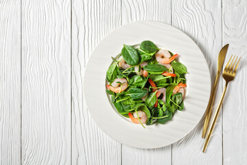 Avocado shrimp salad on a white plate, copy space
