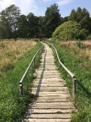 Dieser Bohlenweg im Schopflocher Moor in Lenningen-Schopfloch führt durch das größte Hochmoor auf der Schwäbischen Alb.