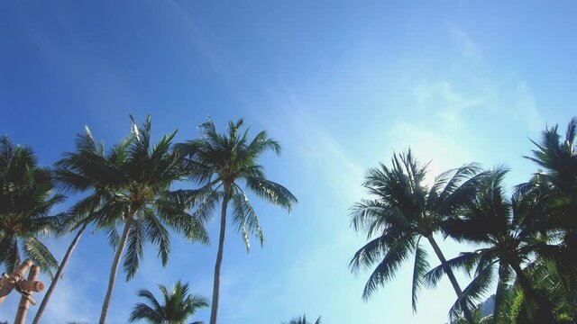 footage B-roll blue sky with palm trees on a sunny day. bright sun rays, sunbeams shine through coconut tree. high blue sky daytime in a tropical. blue sky bright sun landscape nature background.