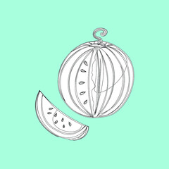 Fruits, exotic fruits, vegetarian - minimal thin line web icon set. Included the simple vector icons as mango, durian, rambutan, guava, tamarind, jackfruit. Outline icons collection.