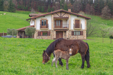 Caserío vasco con caballos