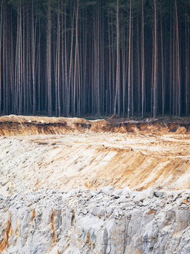 Glass sand quary with the edge of the forest  waiting to break the limits