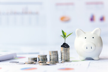 Piggy and the tree  growing on money coin stack for investment and saving with financial report of...