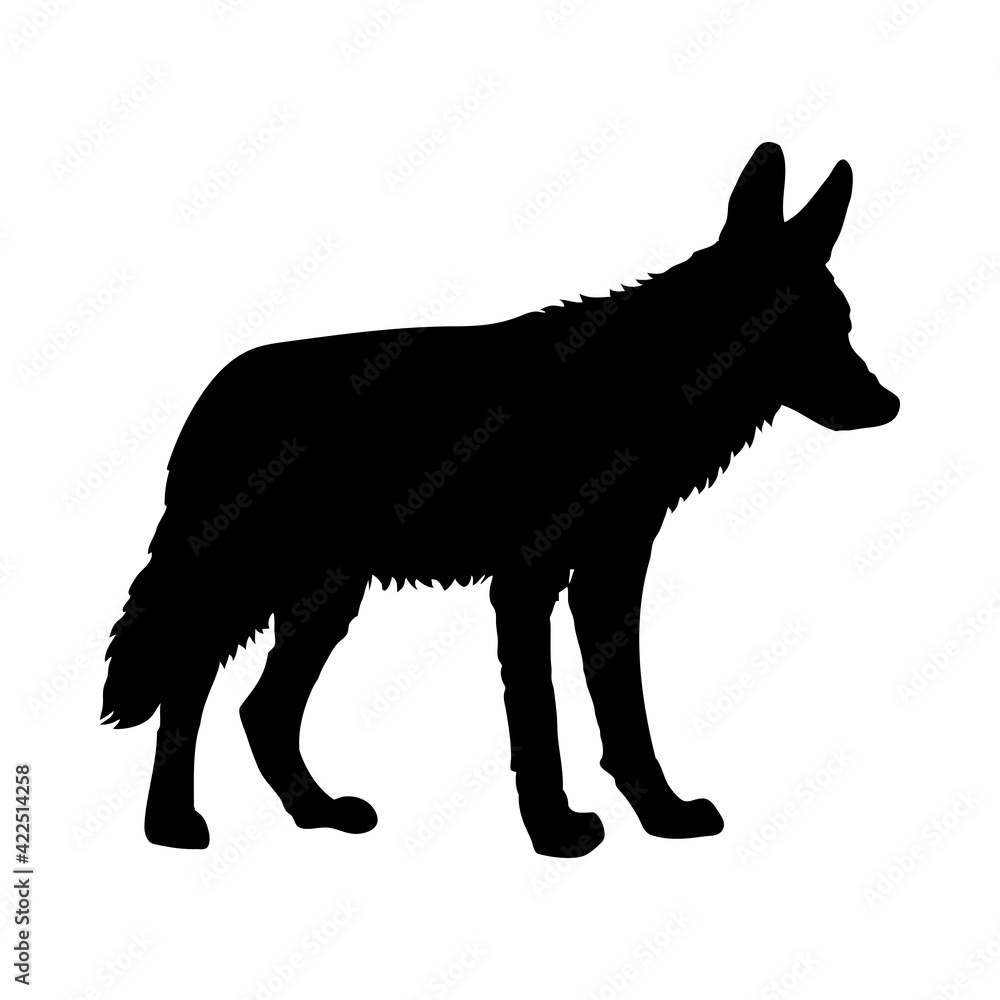 Poster Coyote Silhouette