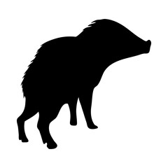 Collared Peccary Silhouette - obrazy, fototapety, plakaty