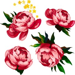 Vector illustration of a pattern of pink flowers.