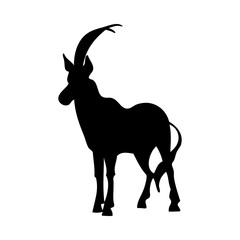 Saber-Horned Antelope Silhouette