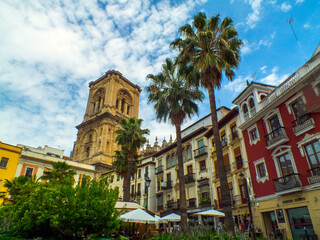 Fototapeta na wymiar Una plaza del centro de Granada, España, con una magnífica palmera, la torre de una iglesia y las fachadas de colores de las viviendas del casco antiguo