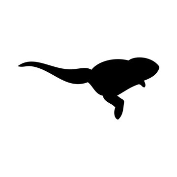 black tadpole silhouette swimming white background clip art preview