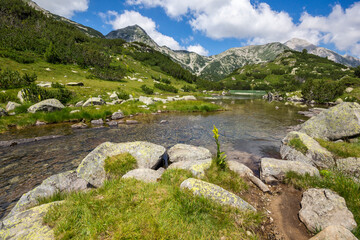 Landscape with Banderitsa River, Pirin Mountain, Bulgaria