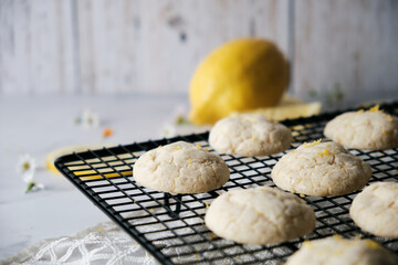 lemon cookies set on white cafe table background.