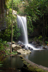 Curtis Falls, on the Gold Coast, Queensland, Australia