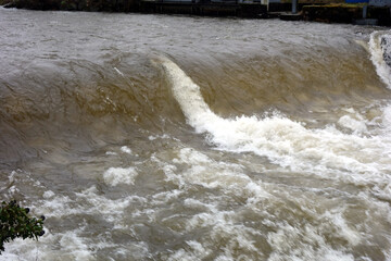 Starkes Hochwasser an der Dreisam, &Uuml;berflutung