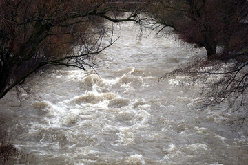 Hoher Wasserpegel aufgrund Hochwasser an der Dreisam