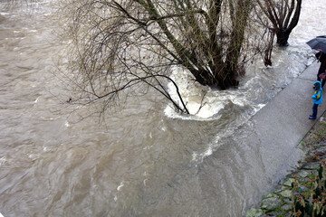 &Uuml;berflutete Fahrradwege an der Dreisam wegen Hochwasser