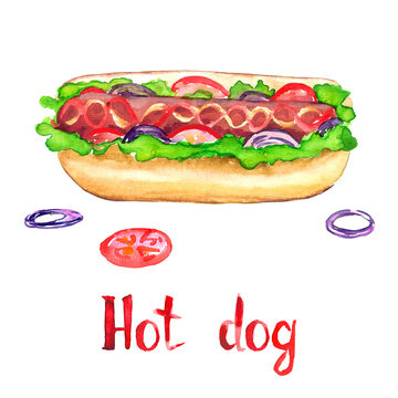 Hot dog isolated on white hand painted watercolor illustration with handwritten inscription