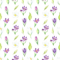 Wildflower crocuses flower pattern in a watercolor style isolated on a white background. Aquarelle wild flower for background, texture, wrapper pattern, frame or border. High quality illustration