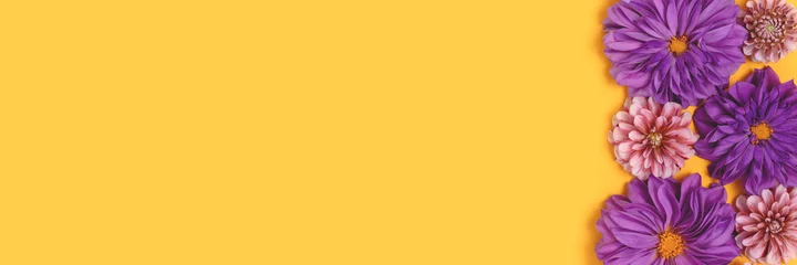 Foto op Plexiglas Banner with dahlia flowers texture on a yellow background with copyspace. Springtime romantic concept. © rorygezfresh