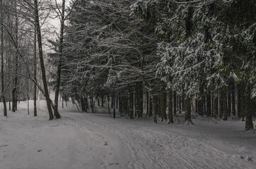 March landscapes in Minsk. Belarus