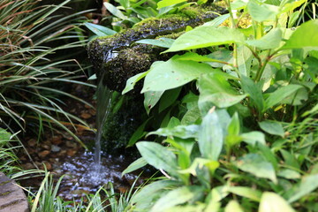 野川公園・自然観察園(東京都小金井市）にて